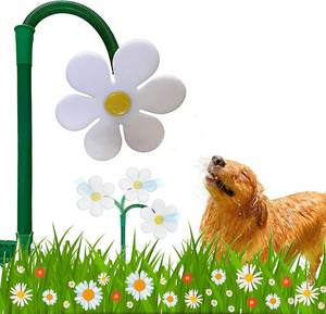 lot 78267 image: Crazy Daisy Sprinkler Funny Rotating Flower Sprinkler for Dogs