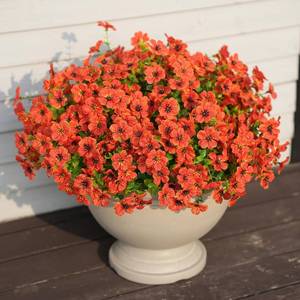 lot 78607 image: 16 Bundles Artificial Fall Flowers for Outdoor Realistic Faux Flower Garden Home Decoration, Hanging Autumn Fall Decor Daisy with Eucalyptus Leaves Fake Plants Greenery Porch Patio Front Door Decors