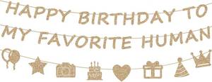 lot 78789 image: Pre Strung Happy Birthday To My Favorite Human Banner, NO DIY Birthday Decorations with Birthday Theme Garland Streamers for Women Men Indoor Home Birthday Party Mantel Wall Fireplace Photo Backdrop