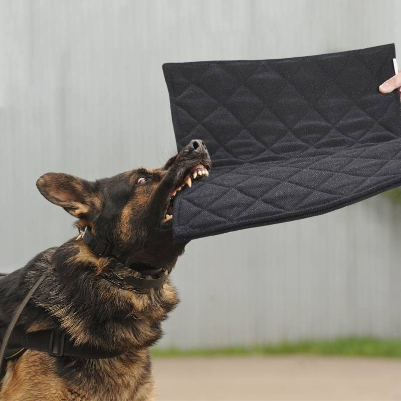 lot 46854 image: Indestructible Dog Beds - Chew Proof Crate Pad for Aggressive Chewers, Machine Washable Quilted Mat, Durable for Small Dogs, Black Kennel Pad (17x23 in) - Retail $33