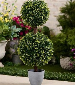 lot 3007 image: Wicker Park 36 2-Sphere Long Boxwood Topiary Tree with Pot