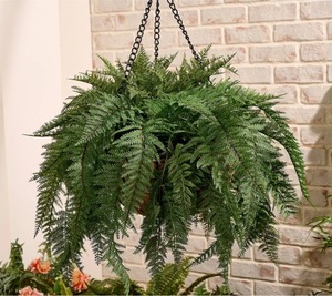 lot 3016 image: Garden Reflections 22 Faux Fern with Faux Soil Hanging Basket