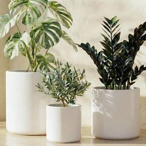 lot 3153 image: $60 2 Pack LE TAUCI 86in Ceramic Pots for Plants, Drainage Hole