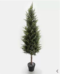 lot 3159 image: 42 Frosted Spruce Tree in Pot by Valerie