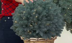 lot 3179 image: Bethlehem Lights Grand Radiance 15 Sphere, LED