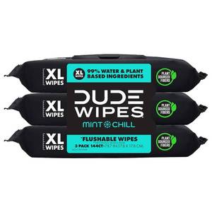 lot 22019 image: DUDE Wipes Mint Chill Adult Flushable Wet Wipes, Refreshing, 2 Packs