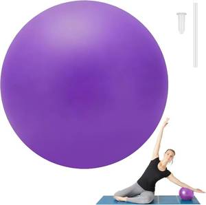lot 22061 image: 9-Inch Pilates Ball - Small Exercise Ball for Yoga, Core Training, Balance
