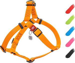 lot 22192 image: WAUDOG Waterproof Dog Harness with QR Code Tag & Metal Clasp