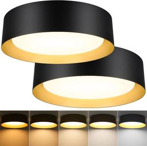 lot 22289 image: Flush Mount Ceiling Light, 13in Modern Ceiling Light 5 Color Temperature