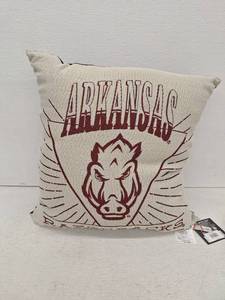 lot 20479 image: Arkansas Razorbacks Throw Pillow 26x26, 2 Pack