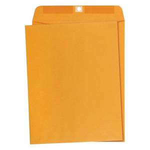 lot 201613 image: Amazon Basics 10 X 13-Inch Clasp Kraft Envelopes Gummed 100-Pack