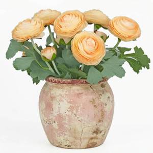 lot 301642 image: Artificial Ranunculus Flowers with Real Touch Stem,Silk Ranunculus Flowers (Champagne, 6pcs)