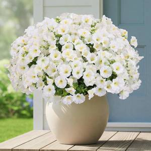lot 171467 image: CEWOR Artificial Flowers for Outdoors UV Resistant Morning Glory Flowers
