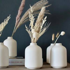 lot 371437 image: Carrots Den Small White Ceramic Bud Vase Set of 6, Flower Centerpieces