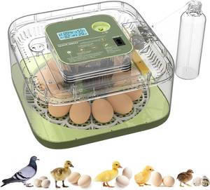 lot 471601 image: Incubators for Hatching Eggs Automatic Egg Incubator with Temperature Control Humidity Display 12 Egg Capacity for Chicken Duck Goose Eggs Digital Display Auto Turner 360  View (Green)