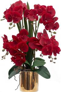 lot 471603 image: CXGS Artificial Orchid Flower Plants Real Touch Faux Orchids in Ceramic Vase 20.9 Red Phalaenopsis Orchid Fake Flower Arrangement Home Indoor Decor