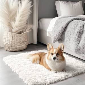 lot 38808 image: 2x3 Machine Washable Small Bedside Rug, Soft Fluffy Shaggy Entryway Throw Rugs for Bedroom, Living Room, Indoor Floor Carpet for Kids Girls and Boys, Nursery Rooms, Home Decor Aesthetic, Ivory - Retail $14