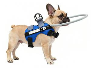 lot 38932 image: Lightweight Adjustable Blind Ring for Dogs Cats, Pet Harness Guide Device (Blue-Upgrade, Small Weight 8.8-22 lbs (4-10kg)) - Retail $33