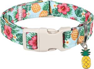 lot 4130 image: Summer Tropical Pattern Dog Collar, Soft Fabric, Small Dogs