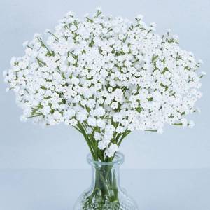 lot 4231 image: MAQIHAN 6 Babys Breath Artificial Flowers - White Faux Gypsophila Bouquet