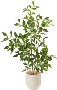 lot 22846 image: 27 Indoor Faux Potted Plants Ficus Leaves Trees with Ceramic Pots