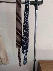 lot 168 image: Ties by Lilkley and Van Gogh 2 Neckties