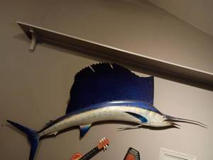 Sailfish.  Approximately 8ft. long. Some damage.  See pictures. PLEASE  Bring a ladder to remove from the wall.