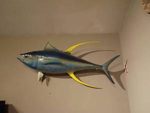 lot 934 image: Yellow Fin Tuna.  Approximately 6ft.   Bring ladder to remove from wall