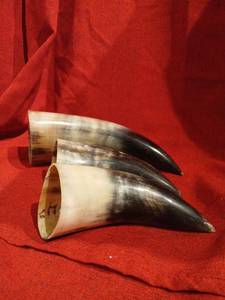 lot 1013 image: Horns 3