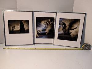 lot 1444 image: Framed photos Lot of 3 11x14 with Matting and glass