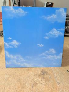 lot 1499 image: Polystyrene cloud backdrop 48x48
