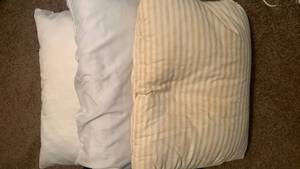 lot 2035 image: 3 bed pillows