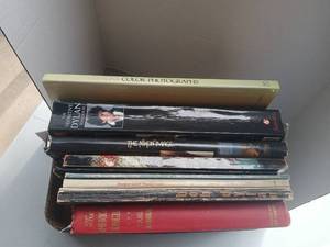 lot 4222 image: Lot of  Books Osindas Color Photographs, Dylan, Nikon Image, Folk Blues Guitar, More