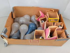lot 4312 image: Vintage Photoflood Bulbs multi color and sizes