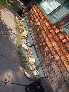 lot 5002 image: Variety of Rocks.  All rocks in the flower bed closest to the  house