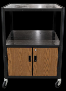 lot 1445 image: Metal media Storage Cabinet 49x33x28