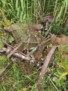 Antique John Deere Horse-Drawn Potato Digger&nbsp;