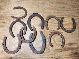 lot 561 image: Lot of VintageAntique 8 Horseshoes