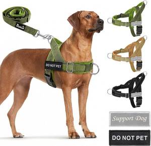 lot 48623 image: SlowTon No Pull Dog Harness and Leash Set - Heavy Duty, Soft Padded, Green, Medium