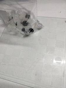 lot 62678 image: Glass Chess Set 32 Pieces Clear Board Game