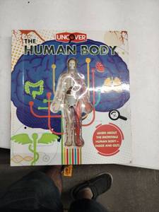 lot 62708 image: Uncover The Human Body Educational Model Book