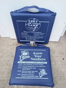 lot 6002 image: T-Bones Kansas City Chiropractic Baseball Team Promotional Seat Cushions 2 Pack