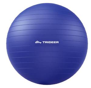 lot 73669 image: Yoga Ball for Exercise, Pregnancy, Physical Therapy, Pump Included - Retail $30