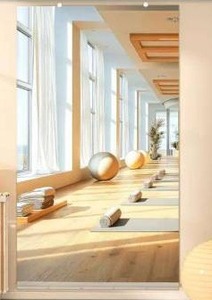 lot 21038 image: Vosuja 36 in. W x 72 in. H Rectangle Frameless Wall-Mounted HD Home Gym Mirror with Glass Clamps & Aluminum Rail for Yoga