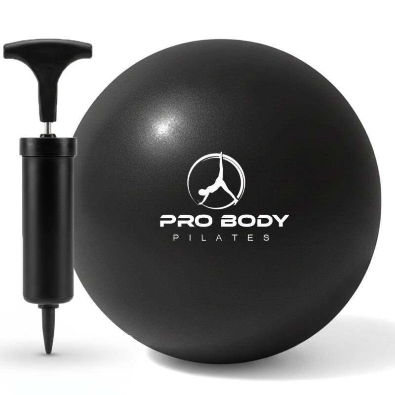 lot 58793 image: ProBody Pilates Small Exercise Ball with Pump - 9 Inch Workout Ball for Stability, Barre, Yoga, Core & Physical Therapy, Home Gym & Office Use (Black) - Retail $15