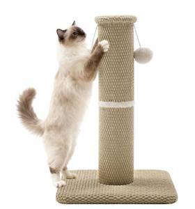 lot 18437 image: Cat Scratching Post, Carpet Cat Scratcher for Indoor Cats, 23.6 - Retail $35