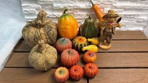 lot 399 image: Fall Harvest Decorative Lot