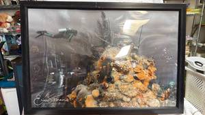 lot 410 image: Eric S Farmer Underwater Photography Print (32 x 22 aluminum frame with plastic protective sheet)