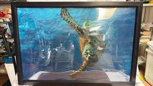 lot 412 image: Eric S Farmer Underwater Photography Print (32 x 22 aluminum frame with plastic protective sheet)