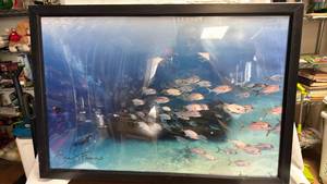lot 413 image: Eric S Farmer Underwater Photography Print (32 x 22 aluminum frame with plastic protective sheet)